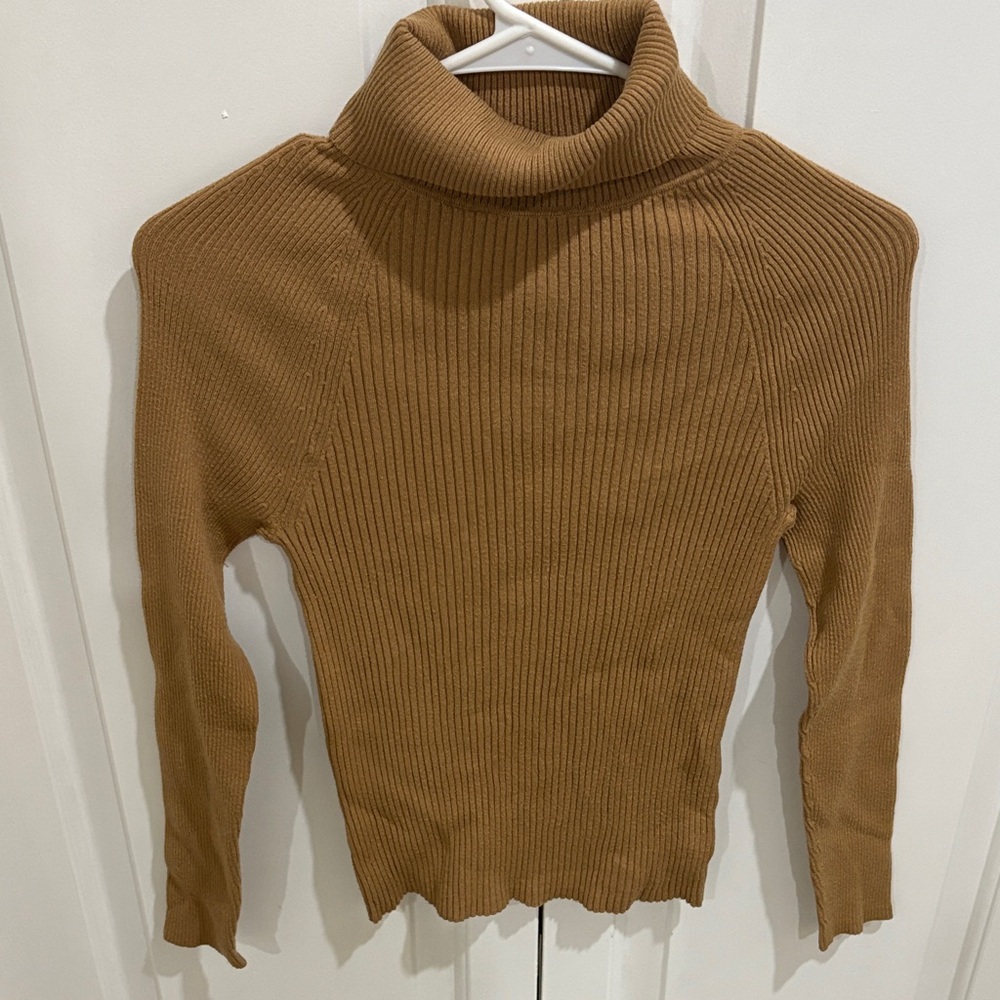 Banana Republic Ribbed Brown Turtleneck Top